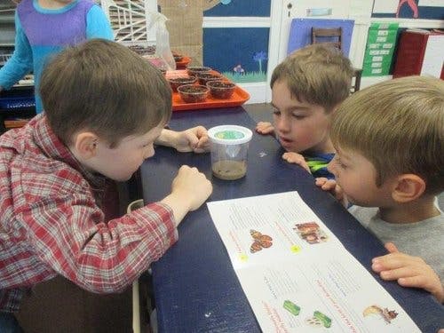 Three children looking at a container and a paper with illustrations