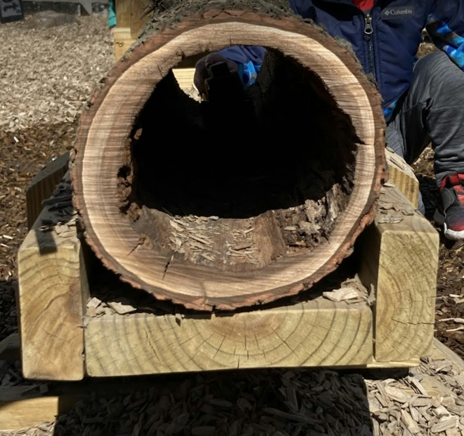 Hollow log tunnel on wooden supports