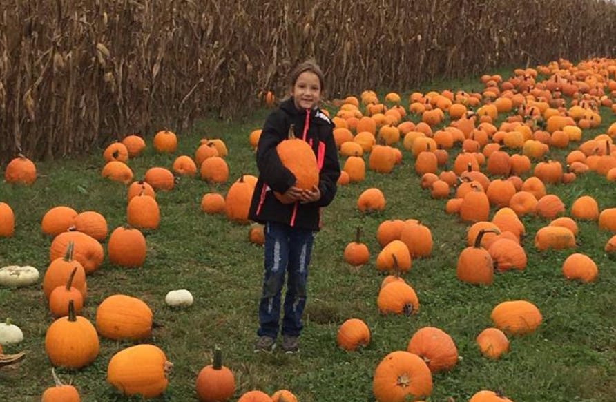 Child holding a pumpkin in a pumpkin patch