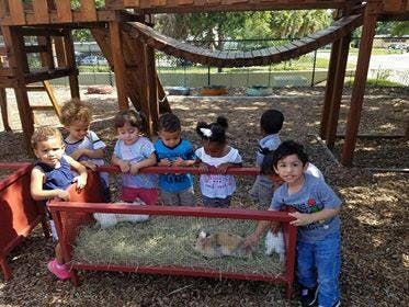 Children looking at a rabbit in a pen