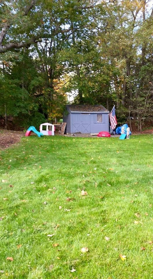 Backyard with a shed, American flag, and children's play equipment