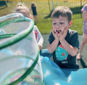 Child looking at a butterfly net with hands on face