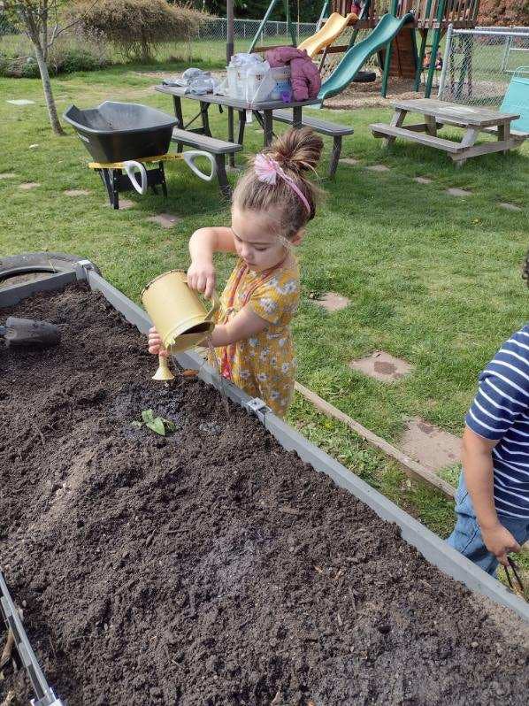 Child watering a plant in a raised garden bed