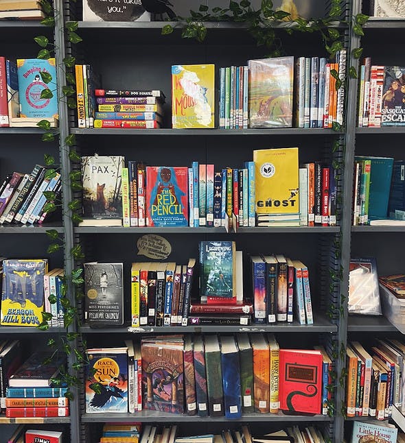 Books arranged on library shelves, adorned with leafy green garlands