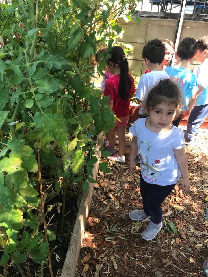 Children standing in a garden next to a raised garden bed with plants