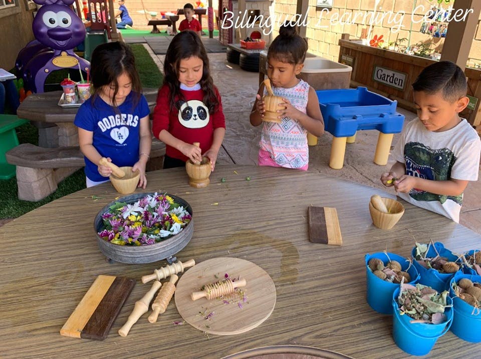 Children playing with natural materials at a table