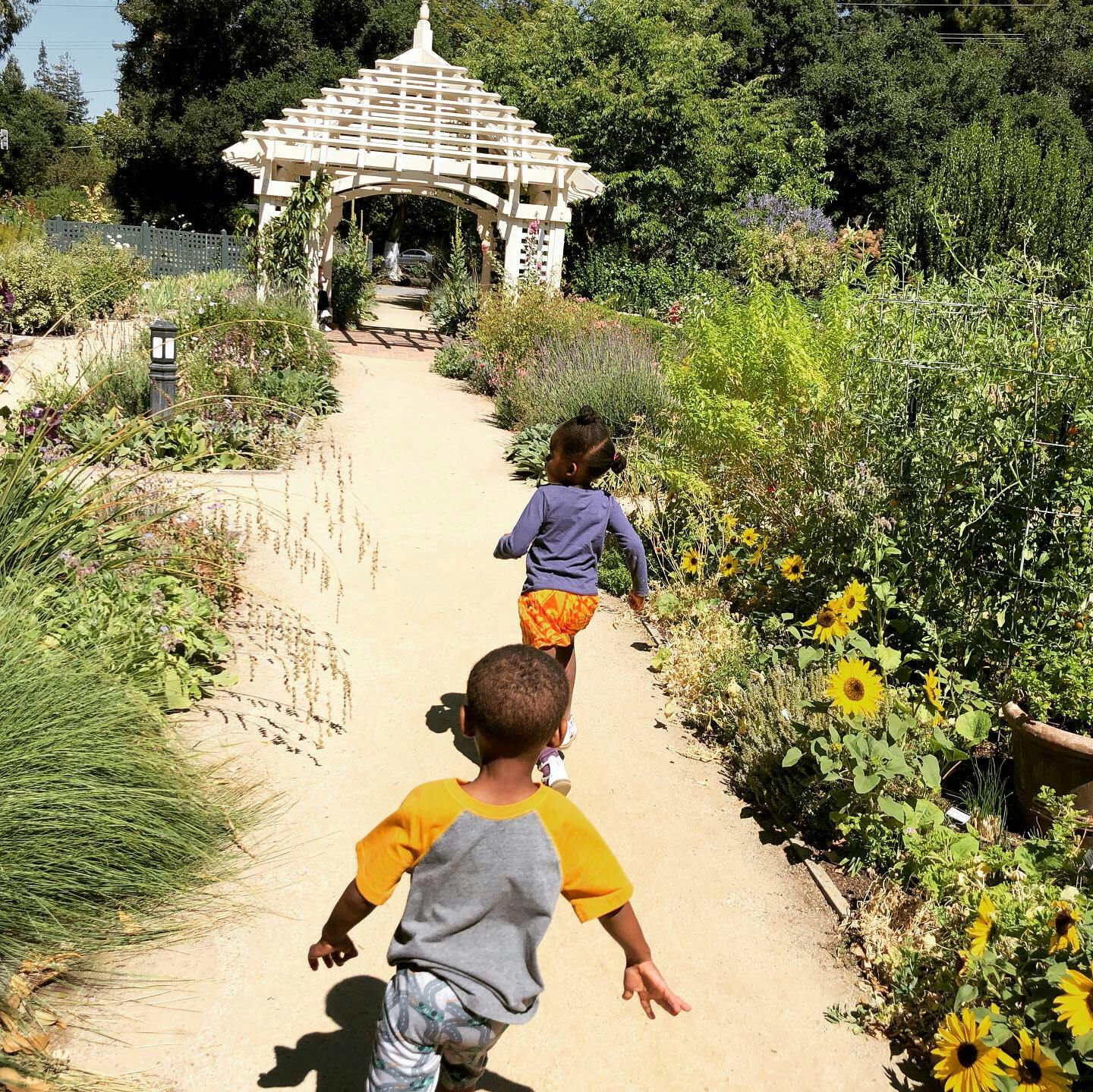 Two children running on a path towards a white gazebo