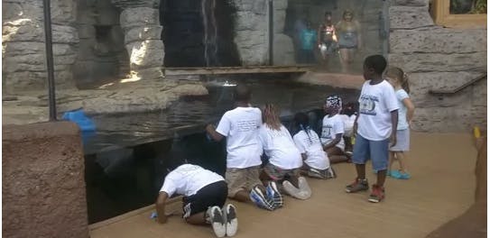 Children kneeling and looking into a water exhibit