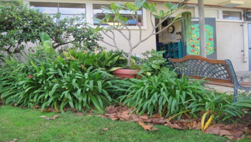 Garden bed with green plants and a bench in front of a building