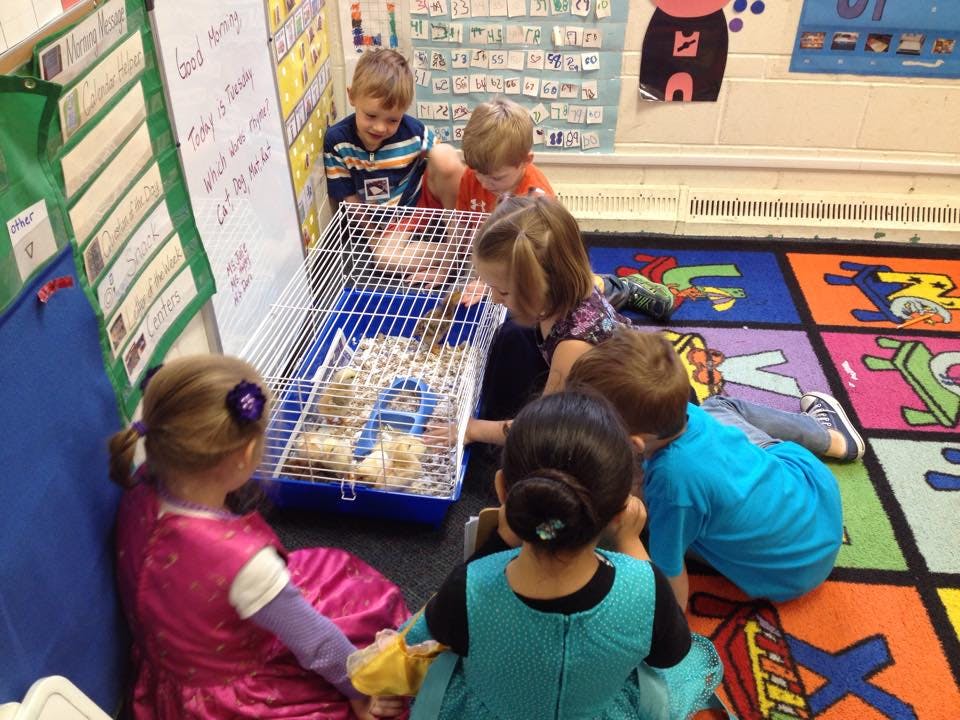 Grace Preschool Preschool in Des Moines, IA Winnie