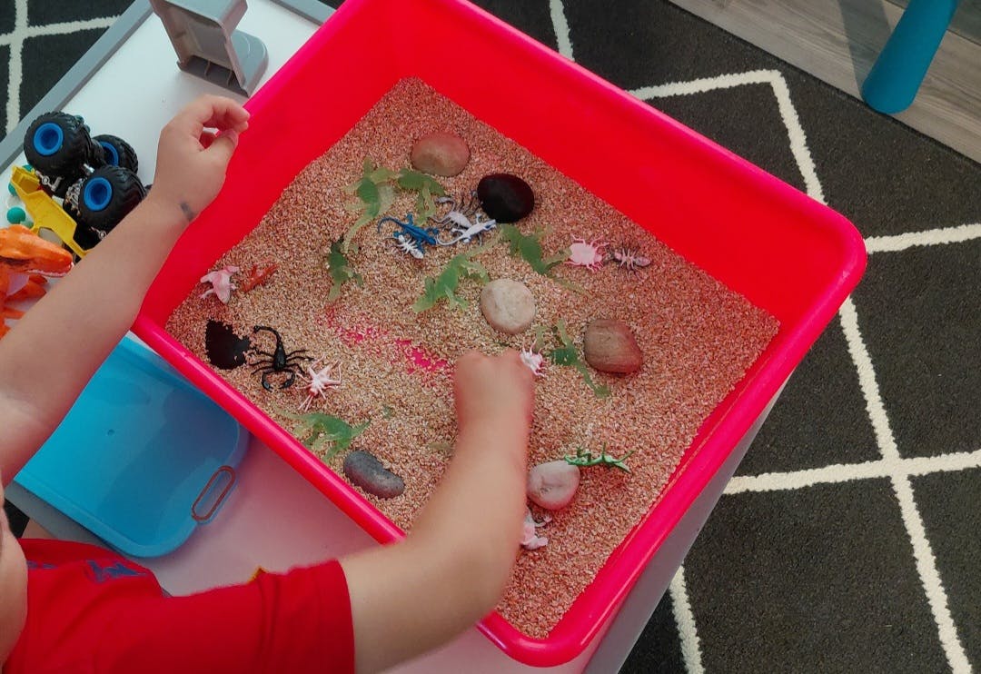 Child playing with toy animals and rocks in a sensory bin