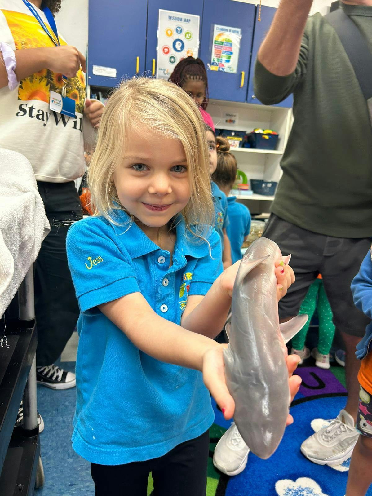 Child holding a small shark