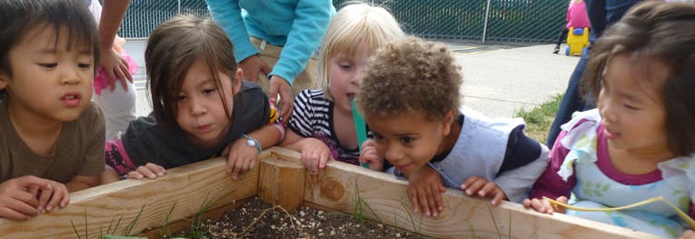 YCIS Silicon Valley Preschool Preschool in Mountain View, CA Winnie