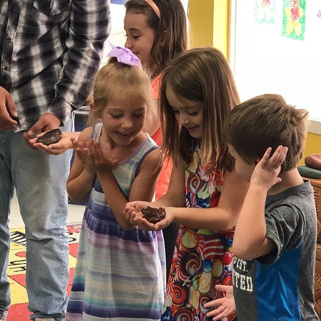 Children holding small animals in their hands