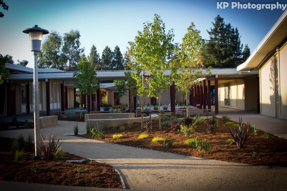 Outdoor courtyard with trees, plants, and buildings