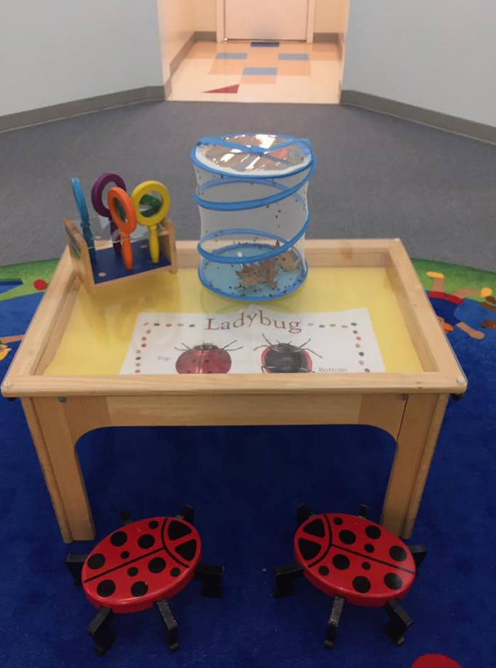 Children's activity table with a bug habitat, magnifying glasses, and ladybug stools