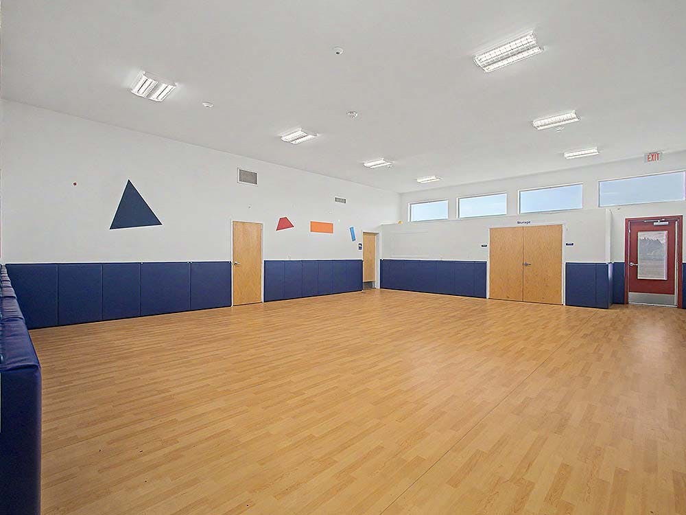 Empty gym room with wood floor, padded blue walls, and high windows