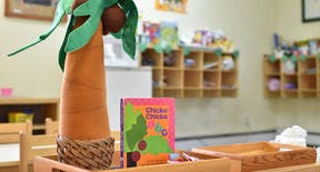 Children's book and palm tree decoration in a classroom