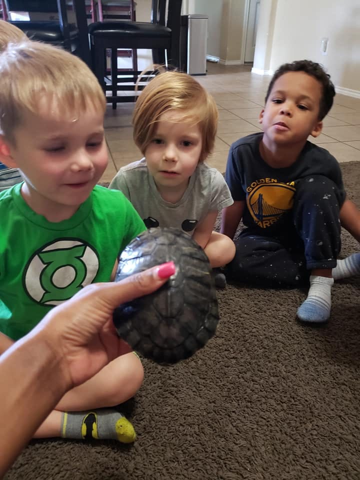 Person holding a turtle shell with three children watching