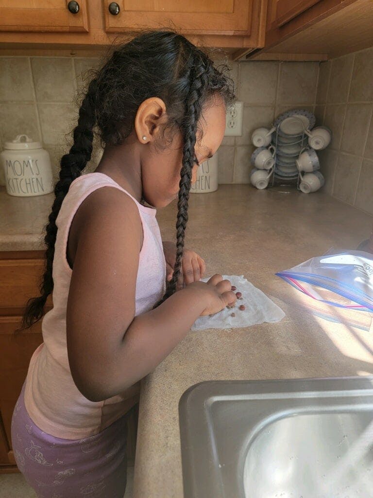 Child with braided hair looking at something on a kitchen counter