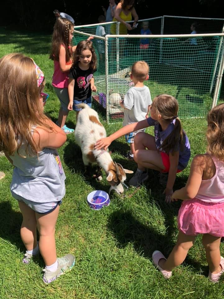 Children petting a goat in a grassy area