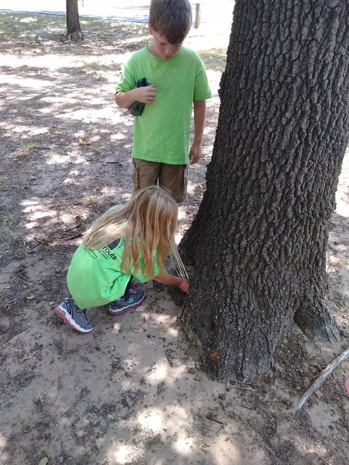Child crouching by a tree trunk while another child stands nearby