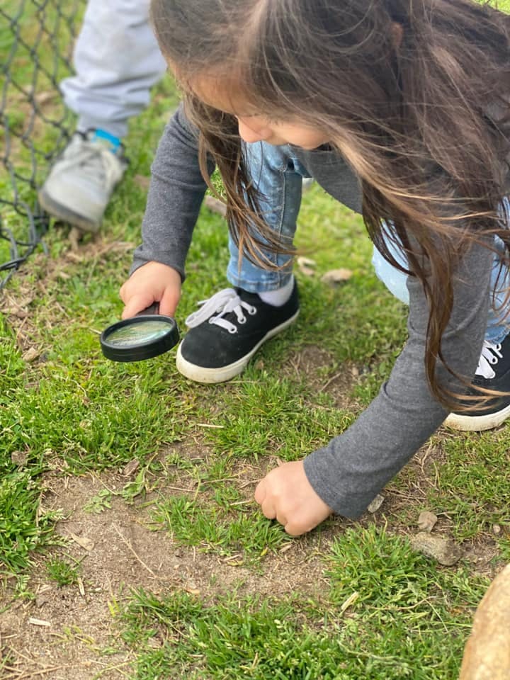 Child holding a magnifying glass over grass