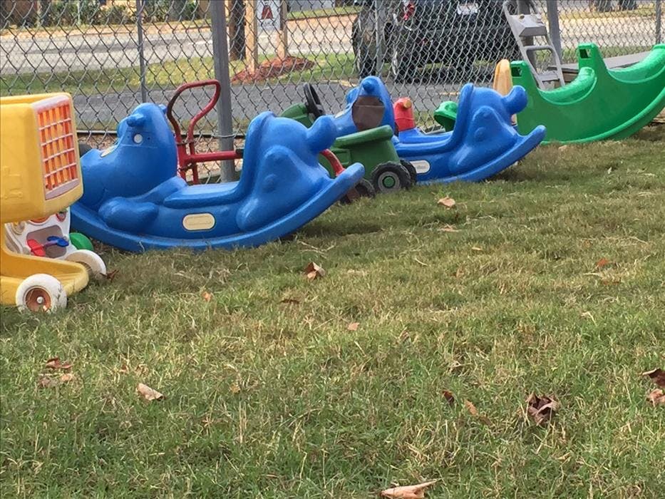 Plastic blue and green rocking toys on grass