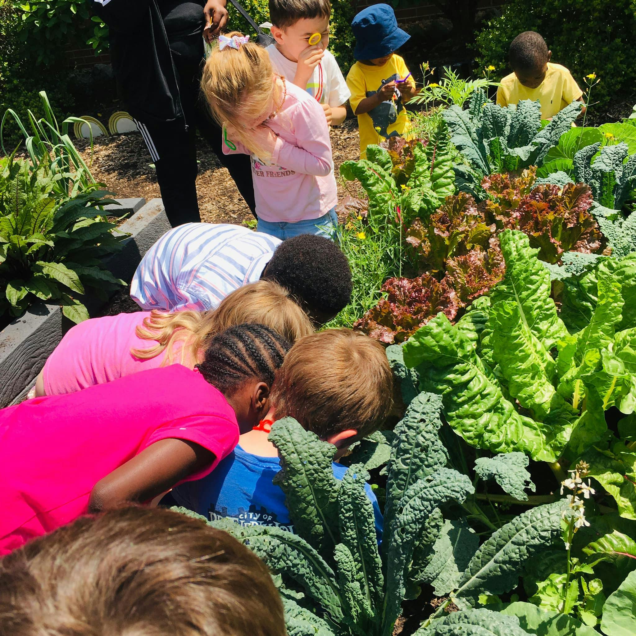 Lil Southern Dreamers Daycare in Olive Branch, MS Winnie