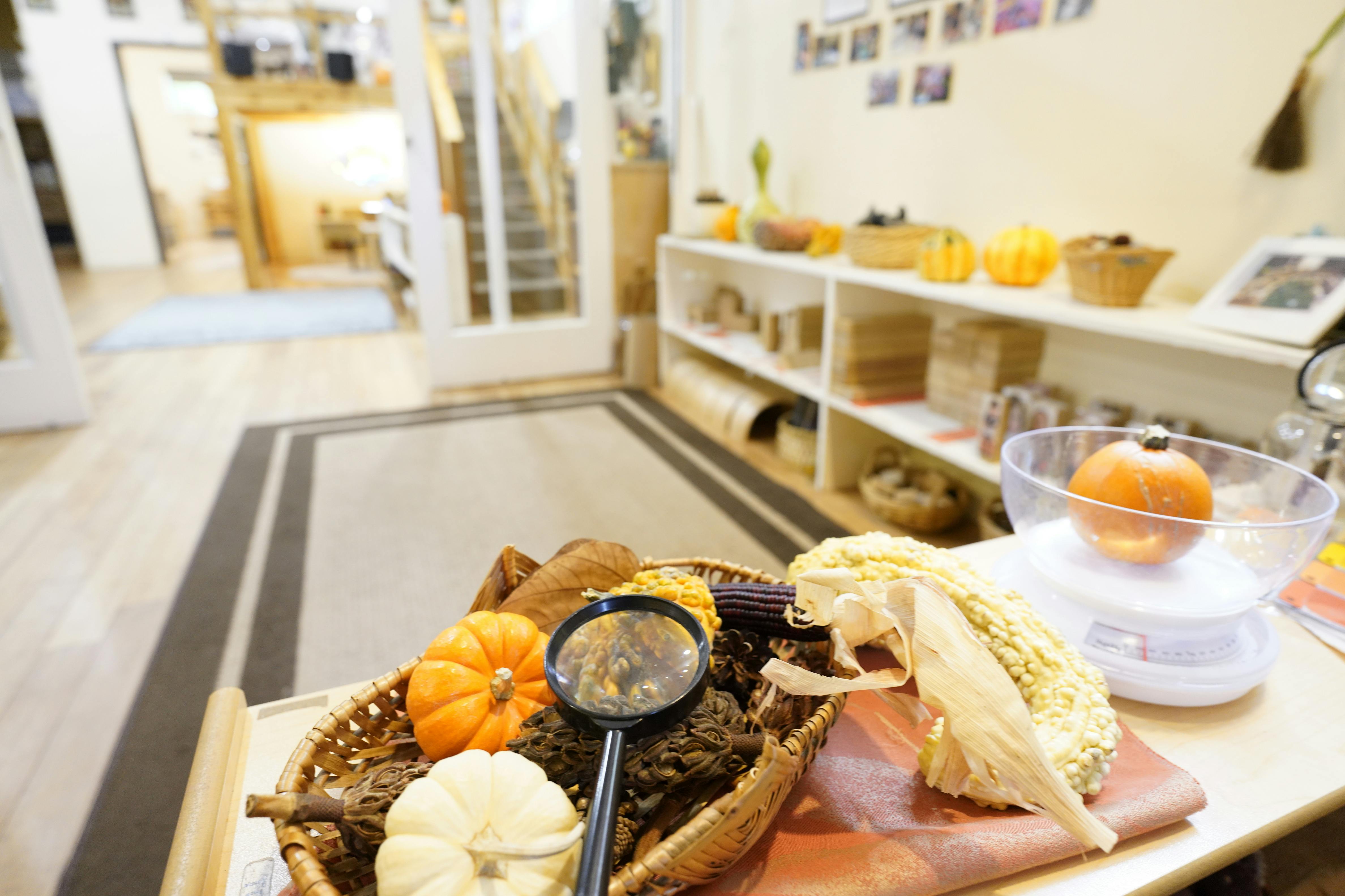 Basket with gourds, corn, and magnifying glass, with a scale in the background