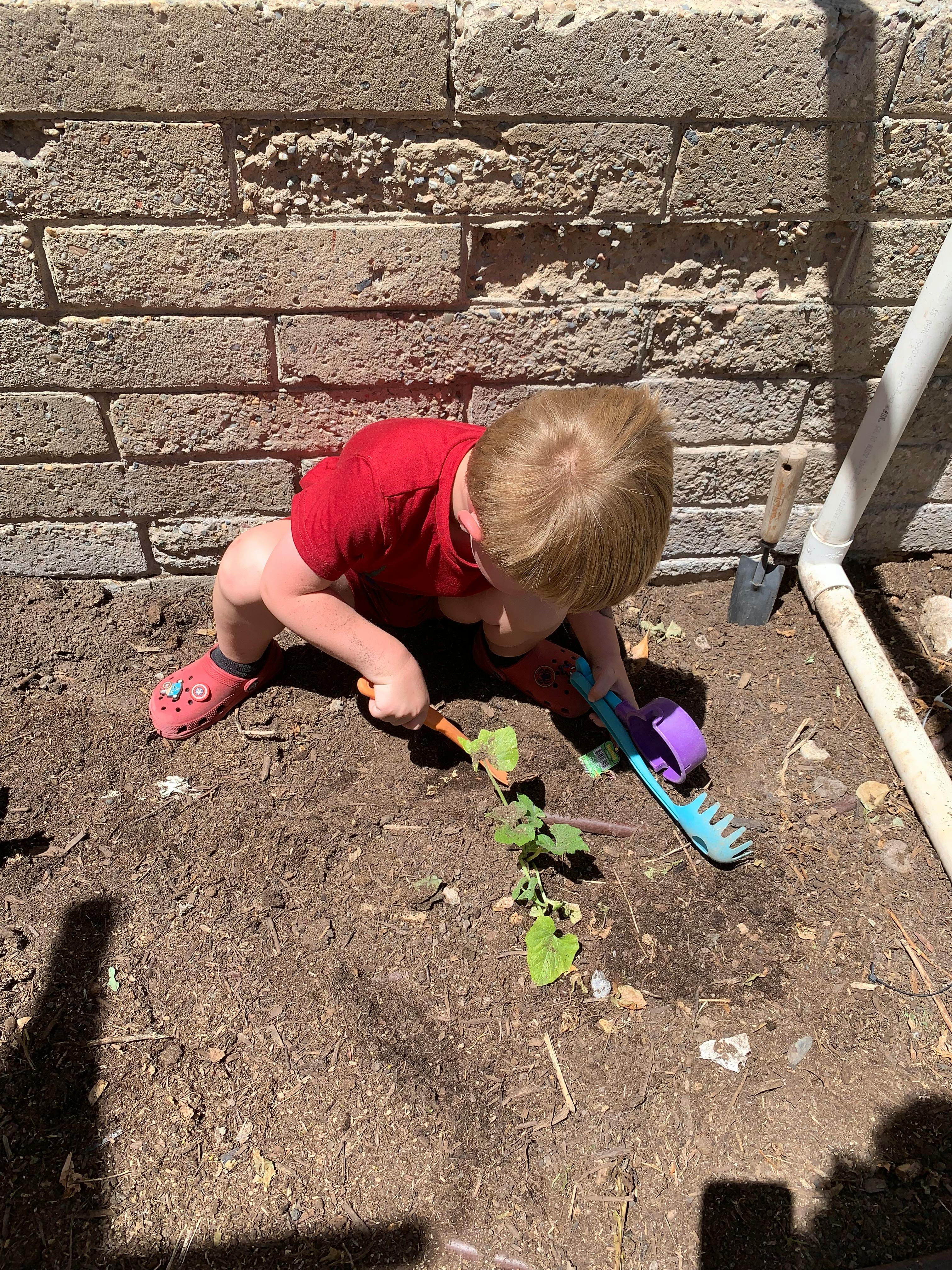 Child kneeling on ground, digging with a small shovel