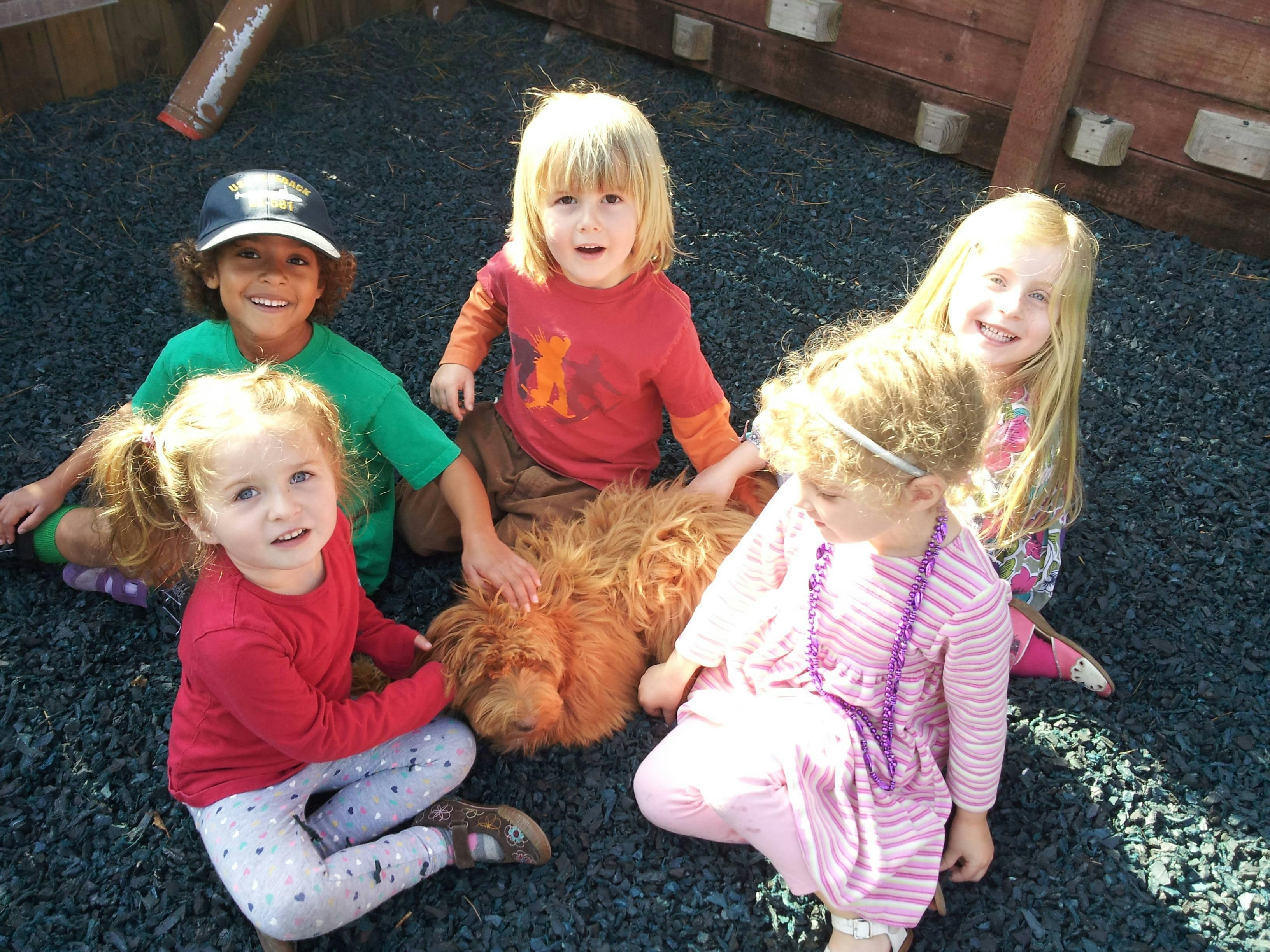 Four children and a dog sitting on the ground