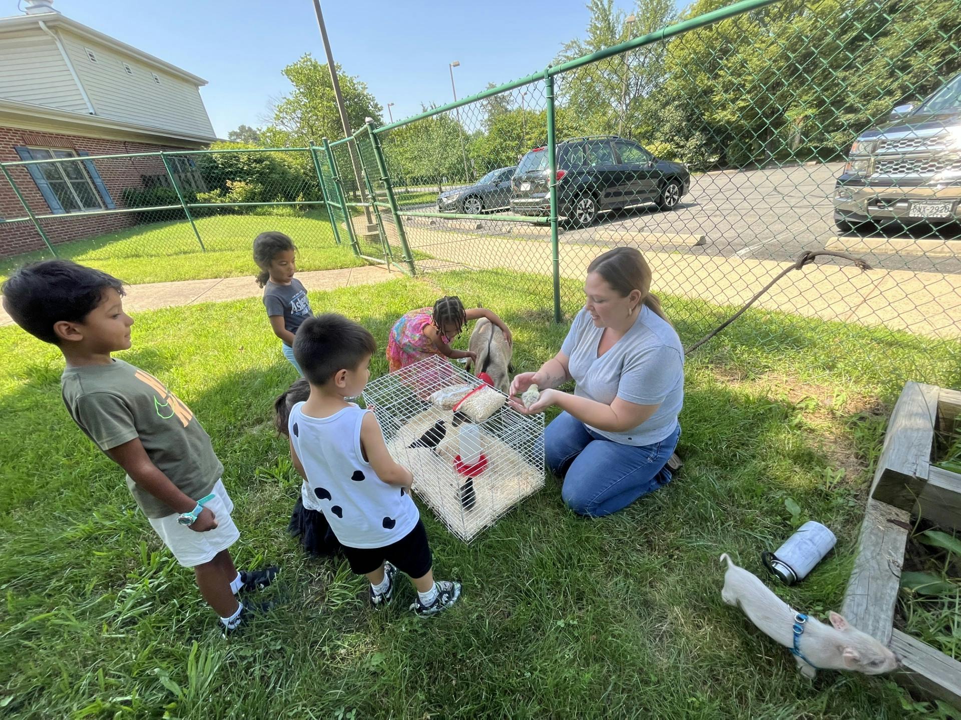 Adult and children interacting with small animals in a cage outdoors