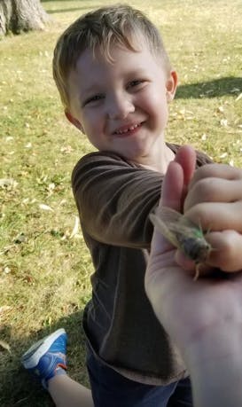 Child kneeling outdoors, holding an insect in an outstretched hand