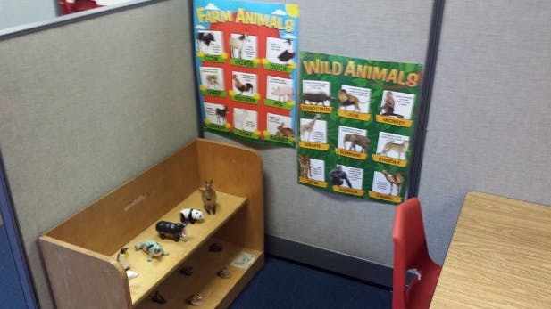 Shelving unit with animal posters on a wall
