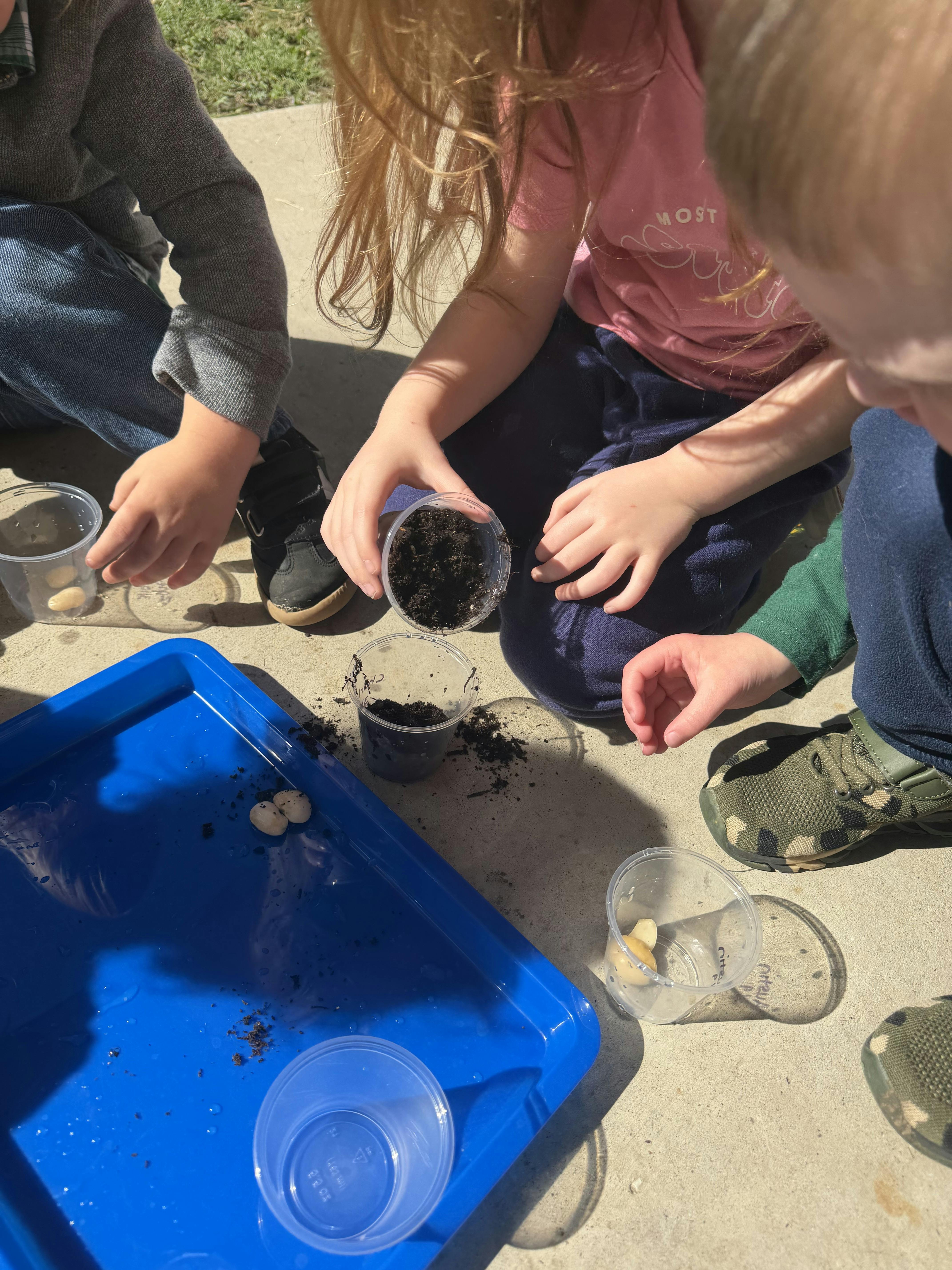 Children planting seeds and soil into small plastic cups