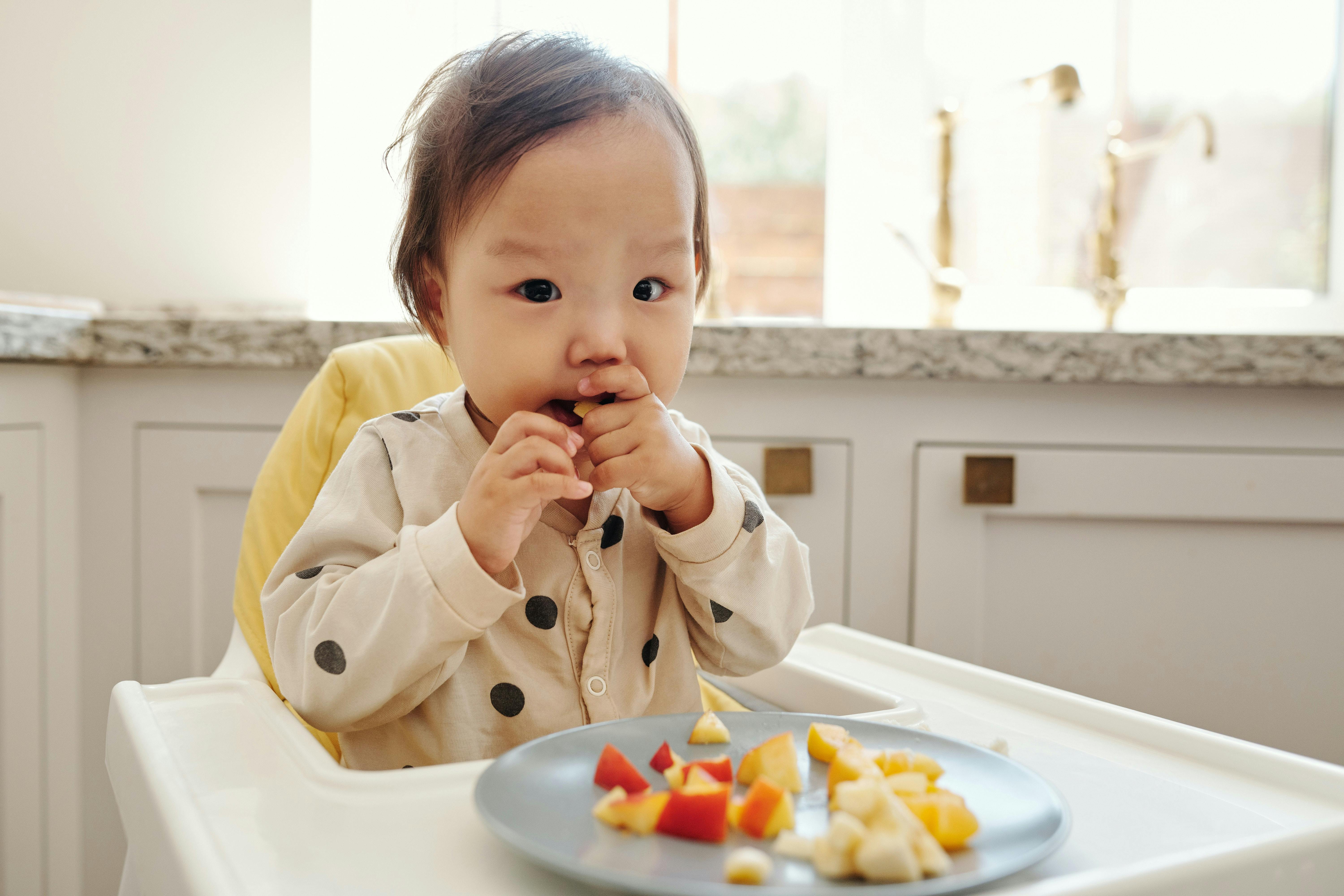 Child in a high chair eating food from a plate