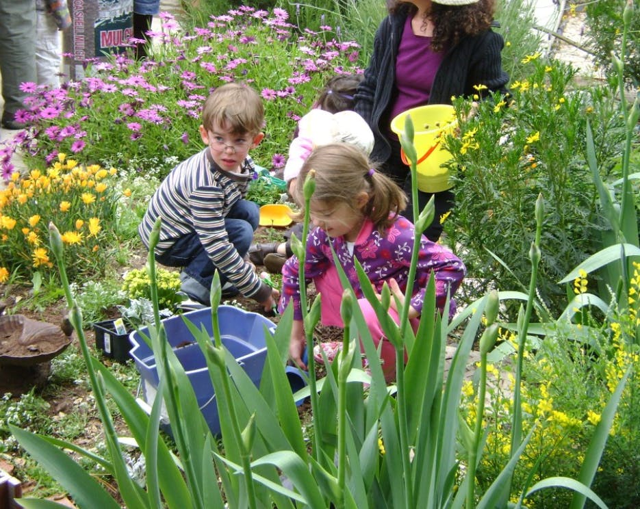 Children and adults gardening outdoors