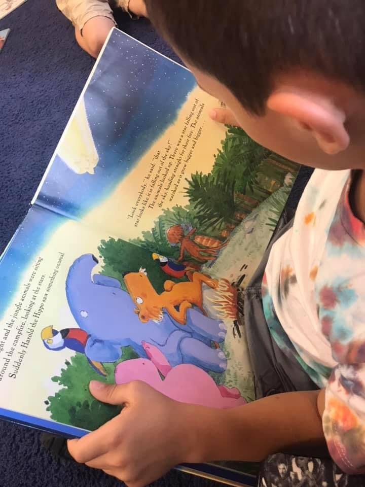Child reading a book with colorful illustrations