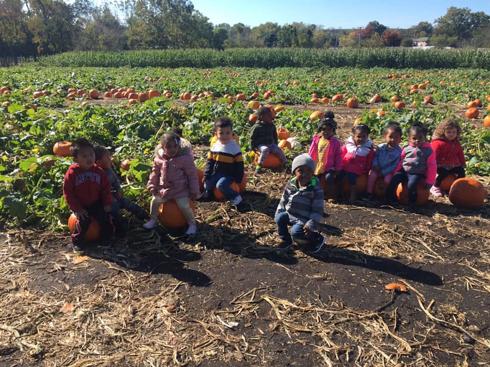 Children sitting on pumpkins in a pumpkin patch