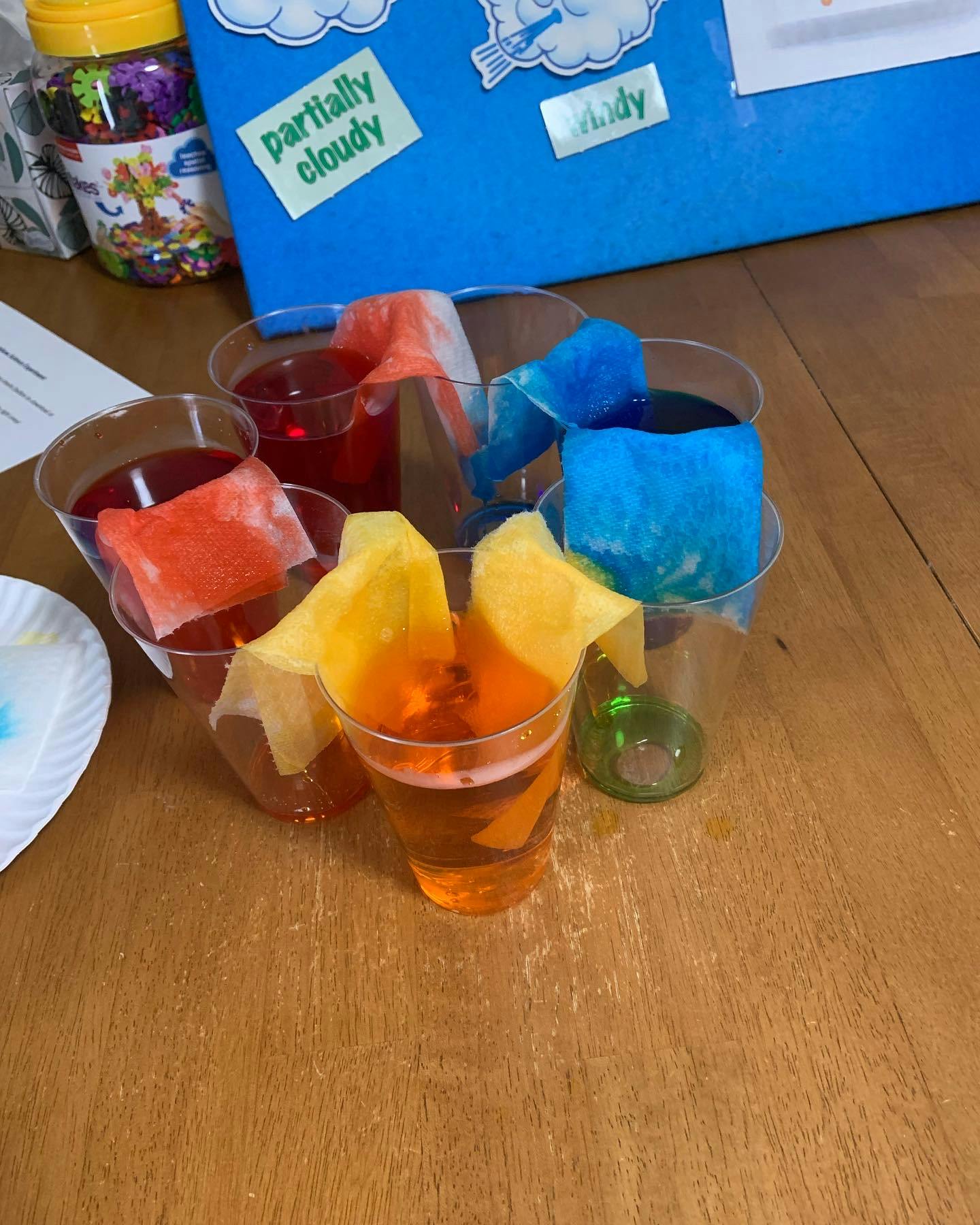 Science experiment with colored water in cups and paper towels