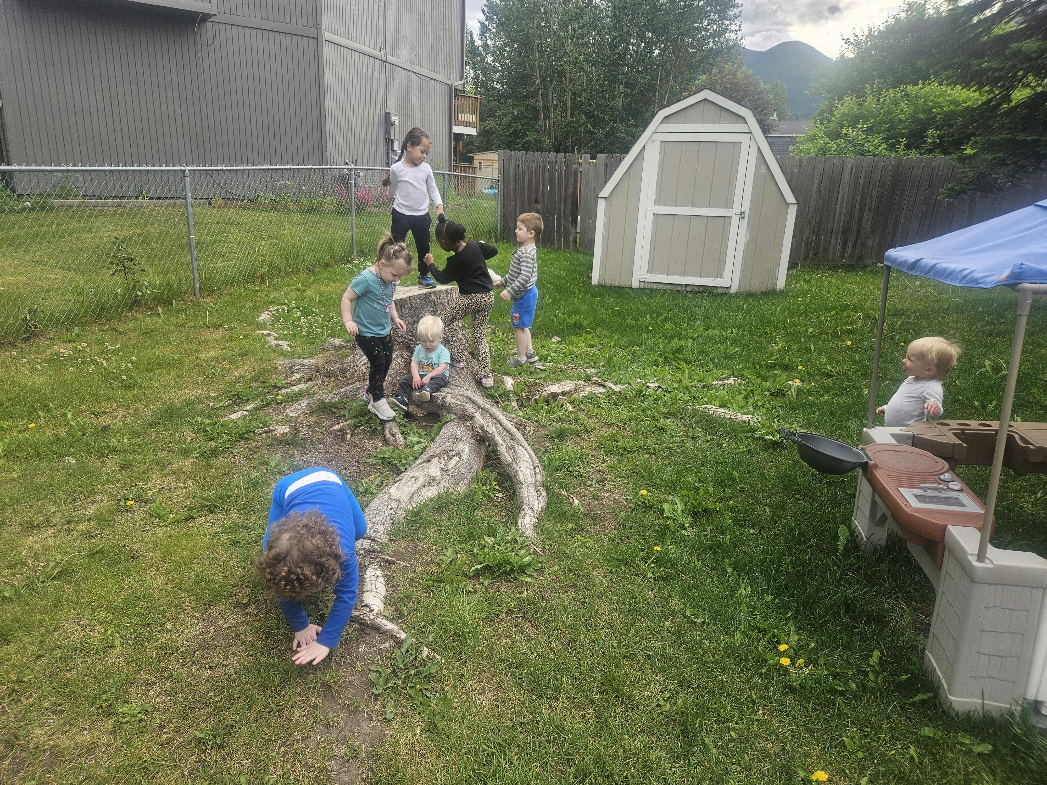 Children playing around a tree stump in a grassy yard