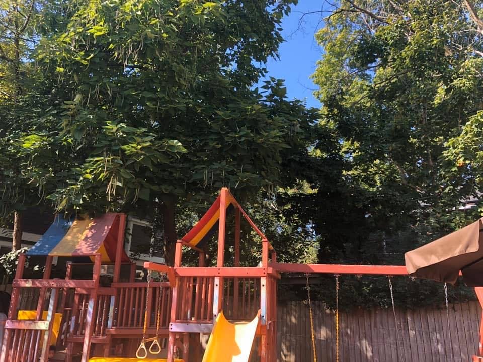 Wooden playground set with slides and swings under green trees