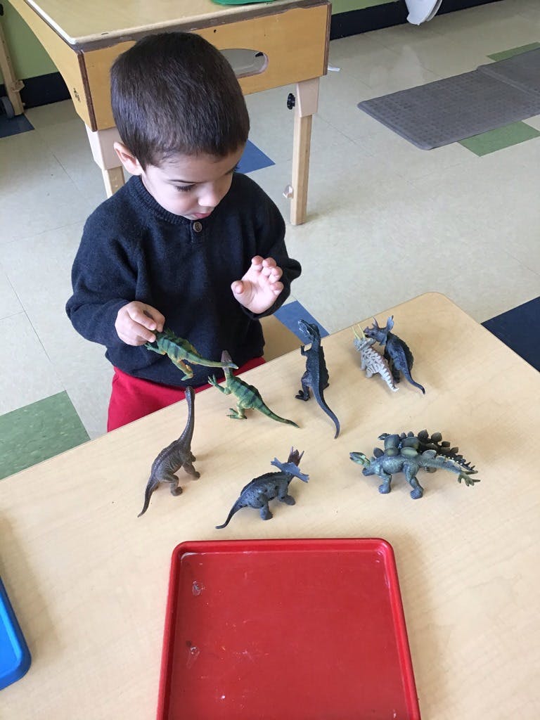 Child playing with dinosaur toys on a table