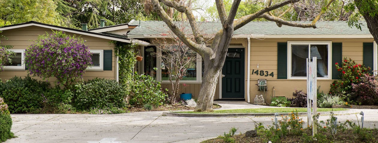 Two single-story houses with trees and shrubs in front