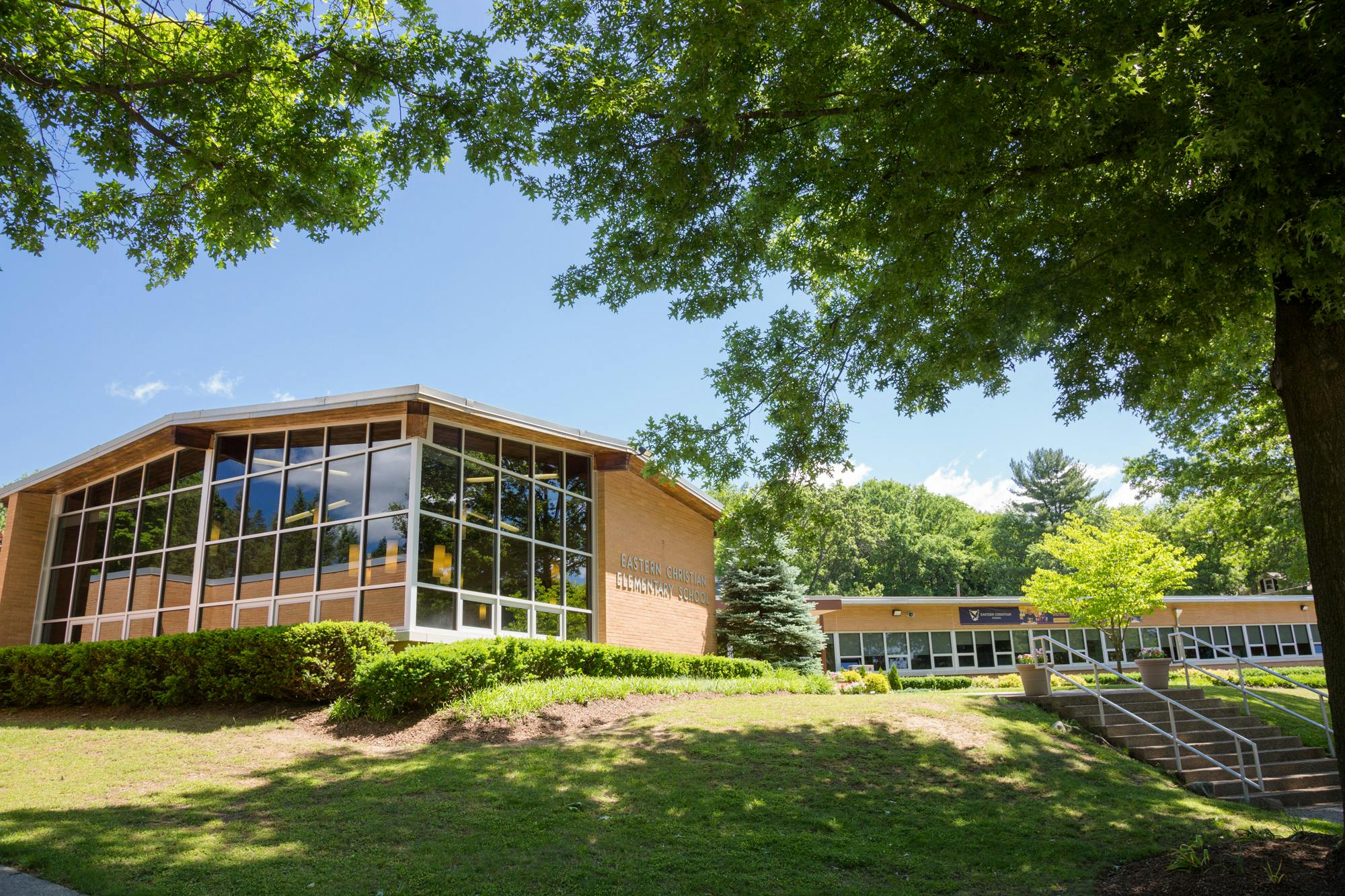 Building with large windows and green landscaping undergrowth, trees in foreground