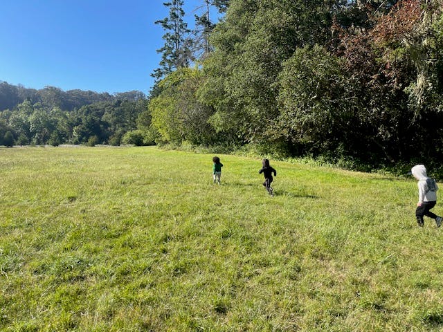 Three children running in a grassy field