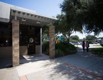 Chappell Schools FSCJ Downtown Daycare in Jacksonville, FL Winnie