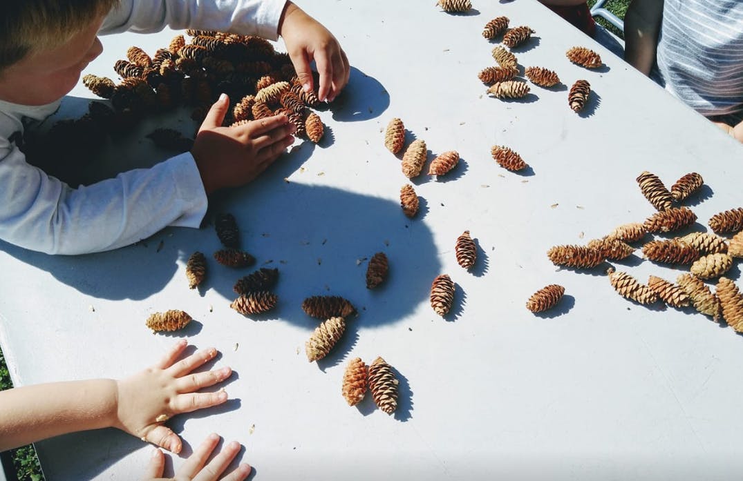 Little Sprouts Childcare in Cedar Springs, MI