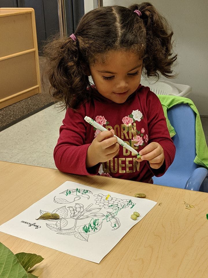 Child coloring a drawing with a marker